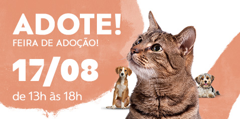 Feira de Adoo Opa Rio e Felinos