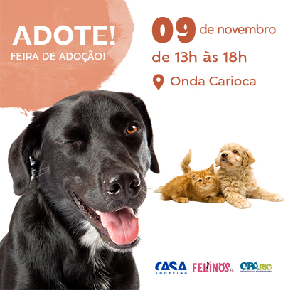 Feira de Adoo Opa Rio e Felinos